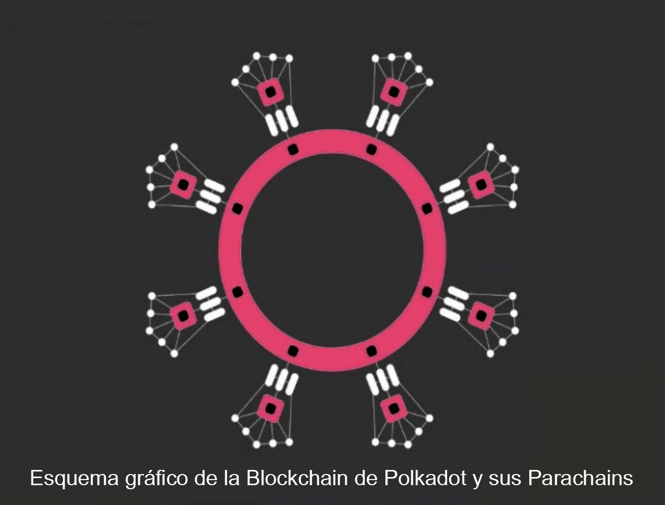 Qué es Polkadot? Te explicamos todo lo que necesitas saber sobre esta  criptomoneda