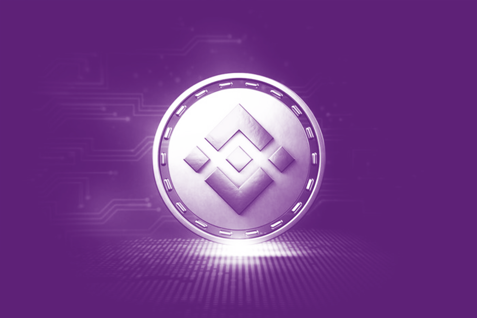 Binance Coin: la moneda electrónica tiene muchas ventajas pero también  muchas limitaciones