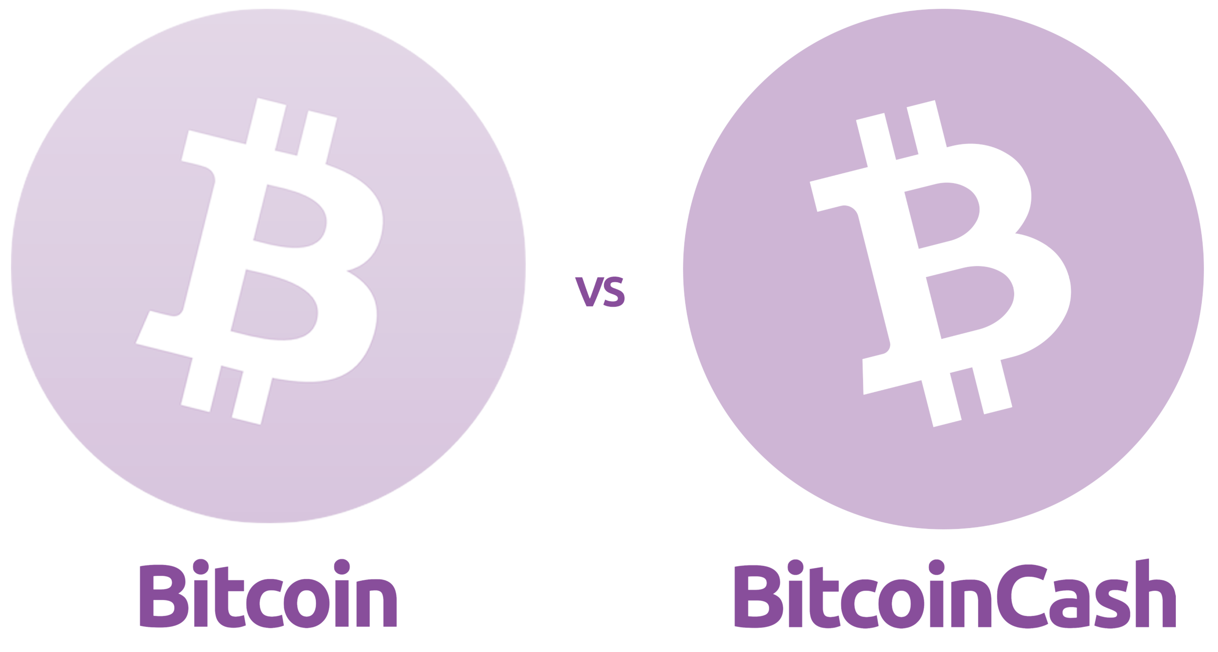 Bitcoin Cash (BCH) là gì? Toàn tập về đầu tư BCH